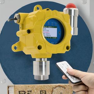 Explosion Proof Oxygen Sensor O2 Single Gas Detector