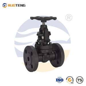 [Ruoteng] Wenzhou Valve Manufacturer Simple Structure Z41h Forged Steel Flange Type Globe Valve for Water/Steam/Oil