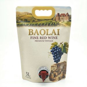 Custom Printed 3L 5L Juice Liquid Wine Packaging Bag Stand up Cocktail Pouch with Spout Faucet