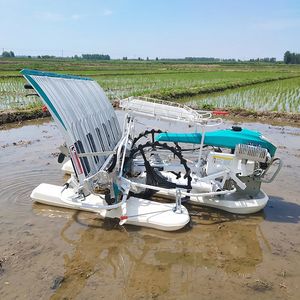 Agricultural Machinery 6 Row Paddy Rice Transplanter for Sale