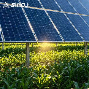 Hot DIP Galvanized Solar Farming Structure Manufacturer