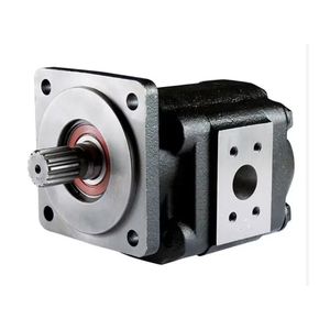 Hydraulic Gear Pump for Large - Scale Industrial Operations