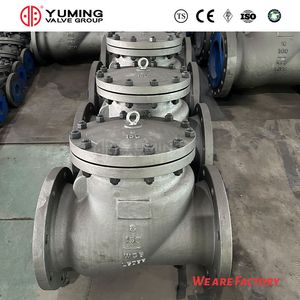 ANSI Lift Check Valve Yuming China