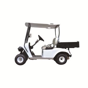 Small 2 Seat Electric Golf Cart