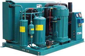 Freezer/Chiller/Cool/Cold Modular Storage Room with Compressor Refrigeration Unit for Meat/Vegetables/Fish/Fruit