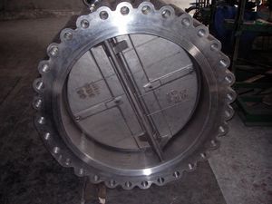 Lugged Type Dual Plate Air Check Valve