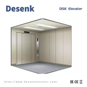 Desenk Elevator Cargo Elevator Goods Elevator Freight Elevator with Best Elevator Price