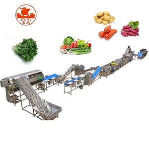 38 Fruit and Roots Leaves Vegetables Washing Line Washing Machine Assembly Line