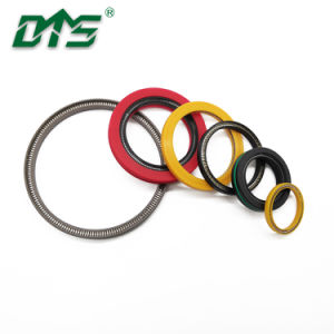 High Performance Spring Energized PTFE Seal for Hydraulic Rod Seal