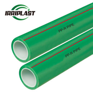 High Quality PPR Hot Water Pipe
