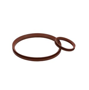 Good Quality NBR FKM Rubber Seal for Water and Shaft V-Ring Va Seal