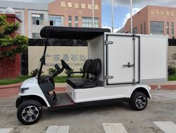 2 Seats High Quality Golf Tool Cart New Energy Golf Cart with Cargo Box