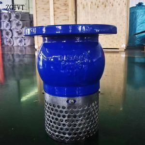 Industrial Ggg40/50 Stainless Steel Filter Foot Valve