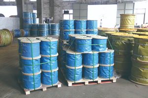 Durable Clear PVC Coated Steel Wire Cable for Versatile Use