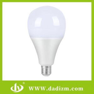 LED Energy Saving Bulb 5W-30W High Lumen Super Bright LED Lamp Professional OEM Manufacturer Energy Efficient Lights
