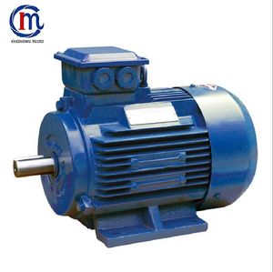 High Voltage Industrial Explosion Proof Electrical 50Hz/60Hz Squirrel Cage Three Phase Asynchronous AC Induction Electric Motor