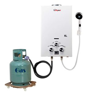 China Flue Type Tankless Instant LPG Gas Water Heater Bathroom Shower Wall Mounted Home Energy Saving