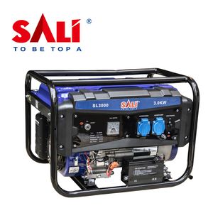 Sali SL3000 3000W Gasoline Engine Generator