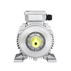 Low Speed High Torque Single-Phase Three-Phase Asynchronous Motor