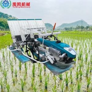 4 -6 Rows Manual Paddy Planting Machine Rice Transplanterhigh-Speed 6 8rows Paddy Rice