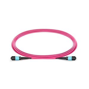 10g Om3 Om4 MPO Fiber Patch Cord 3m 8 12 24 Core Multimode Cable Low Loss High Speed Stable Transmission