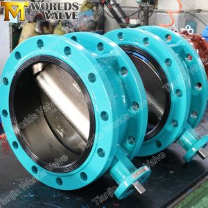 Awwa C504 ANSI/ASME B16.1 150lb Ductile Iron Ggg40 Worm Gear Double Flanged Butterfly Valve (D41X-10/16)