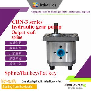 High Quality Hydraulic Gear Pump CBN-3 Series Gear Pump for Sale