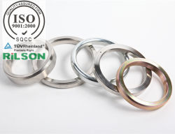 API R/Bx/Rx Rtj Ring Joint Gasket (RS2)