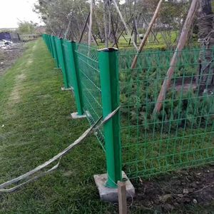 PVC Coated 3D Fence Galvanized Welded Wire Mesh Fence Panel Outside Fence