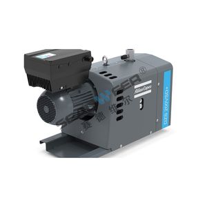 Dhs Dzm Dzs Ghs 1200VSD+ 150V Suction Air Compressor Atlas Copco Vacuum Pump