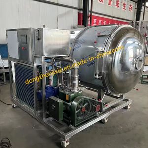 Dzjx Industrial Vacuum Freeze Dryer Freeze Drying Machine for Vegetable Fruit