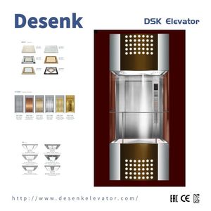 DSK Passenger Elevator Good Sightseeing Elevator Saving Space And Energy With Best Elevator Parts