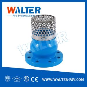 High Quality Flanged End Foot Valve Check Valve for Sale