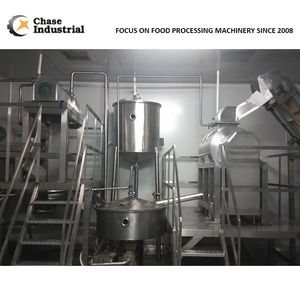 Mango Production Line for Sale