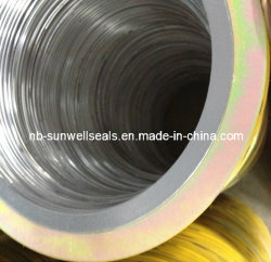 Premium Spiral Wound Gaskets with Outer Ring for Industrial Use