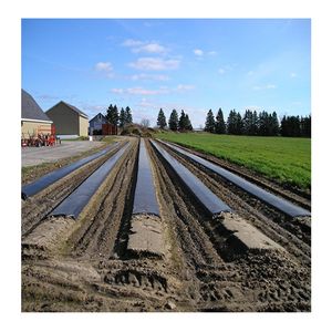 Black and White Plastic Mulch Film Plastic Covering Transparency White Mulch Film