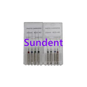 Dental Rotary Paste Carrier Dental Stainless Steel Endo Files Root Canal File Paste Carrier Files