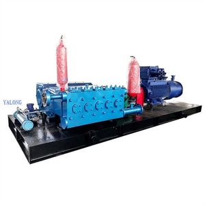 High-Pressure Water Injection Pump with Pressure Gauge