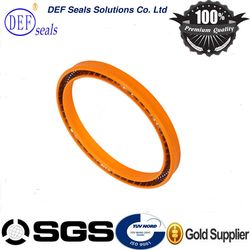 High Quality Spring Energized PTFE Lip Seals Design