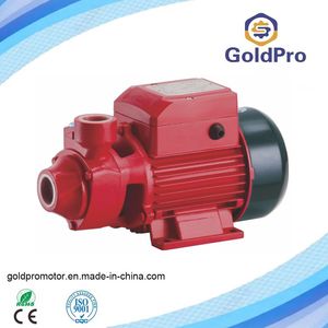 Qb60 Qb70 Qb80 Electric Water Pump Self Priming Vortex Centrifugal Pipeline Booster Pump