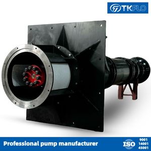 Stainless Steel High Pressure Vertical Turbine Submersible Sea Water Pump for Chemistry
