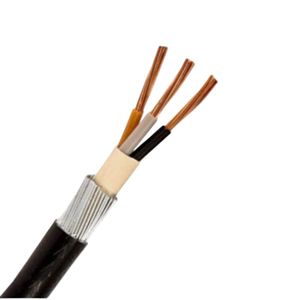 600/1000V 3 Cores 4 Cores 5 Cores Low Voltage XLPE Insulated Armored Electric PVC Power Cable