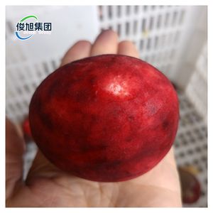 Commercial Dual-Station Fruit Peeling, Pitting, and Segmenting Machine