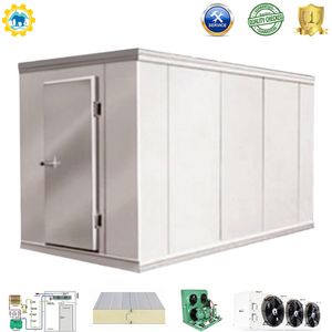 Walk in Chamber Freezer Room Industrial Refrigeration Cold Room