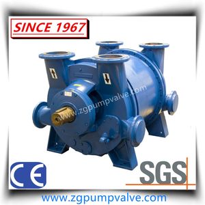 2bec Stainless Steel Industrial Liquid Water Ring Vacuum Pump and Compressor