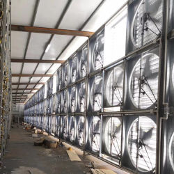 Squirrel Cage Axial Flow Fan Industrial Wall Mount Exhaust Fan High Speed Ventilation Cooling Fan for Farm, Greenhouse, Warehouse