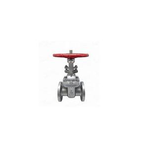 304/316 Stainless Steel CF8/CF8m/CF3m Gate Valve
