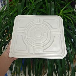 100% Pure PLA Biodegradable Disposable Lunch Container PLA Lunch Box