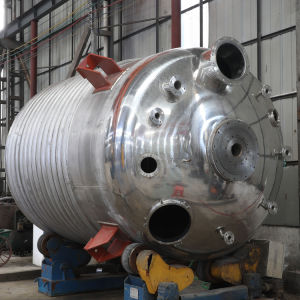 500L Stainless Steel Chemical Hydrothermal Autoclave Reactor for PVA Pvp