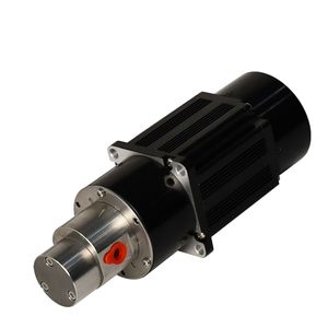 DC Brushless Build in 24 V Drive Stainless Steel Electromagnetic Drive Gear Pump M0.07h57BLB80W